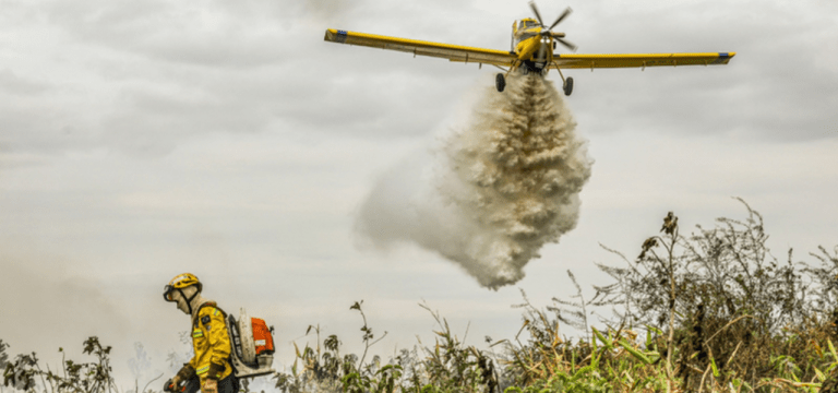 Brigadistas combatem incêndios florestais