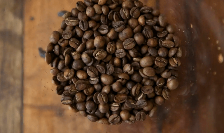 Grãos torrados de café