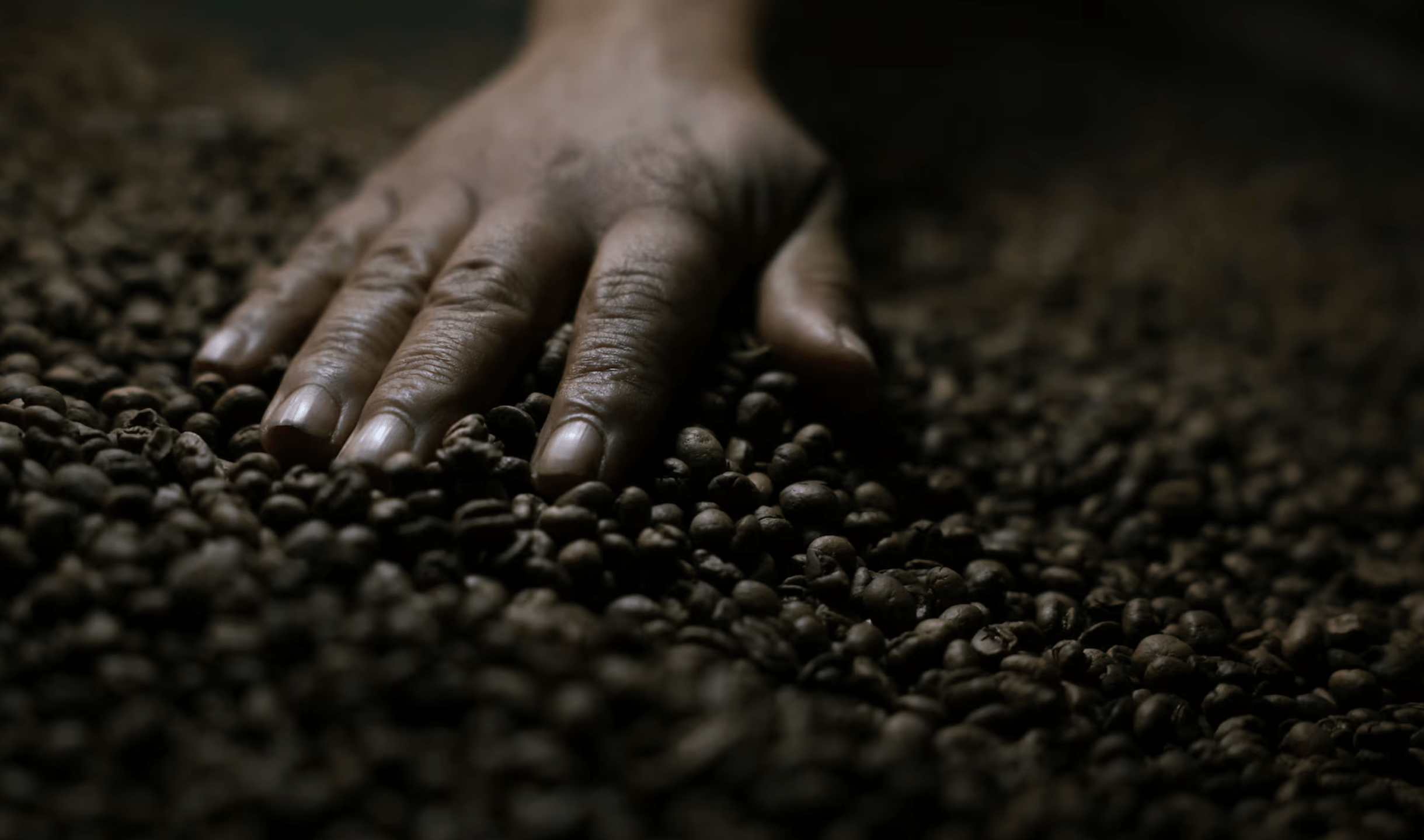 Café brasileiro