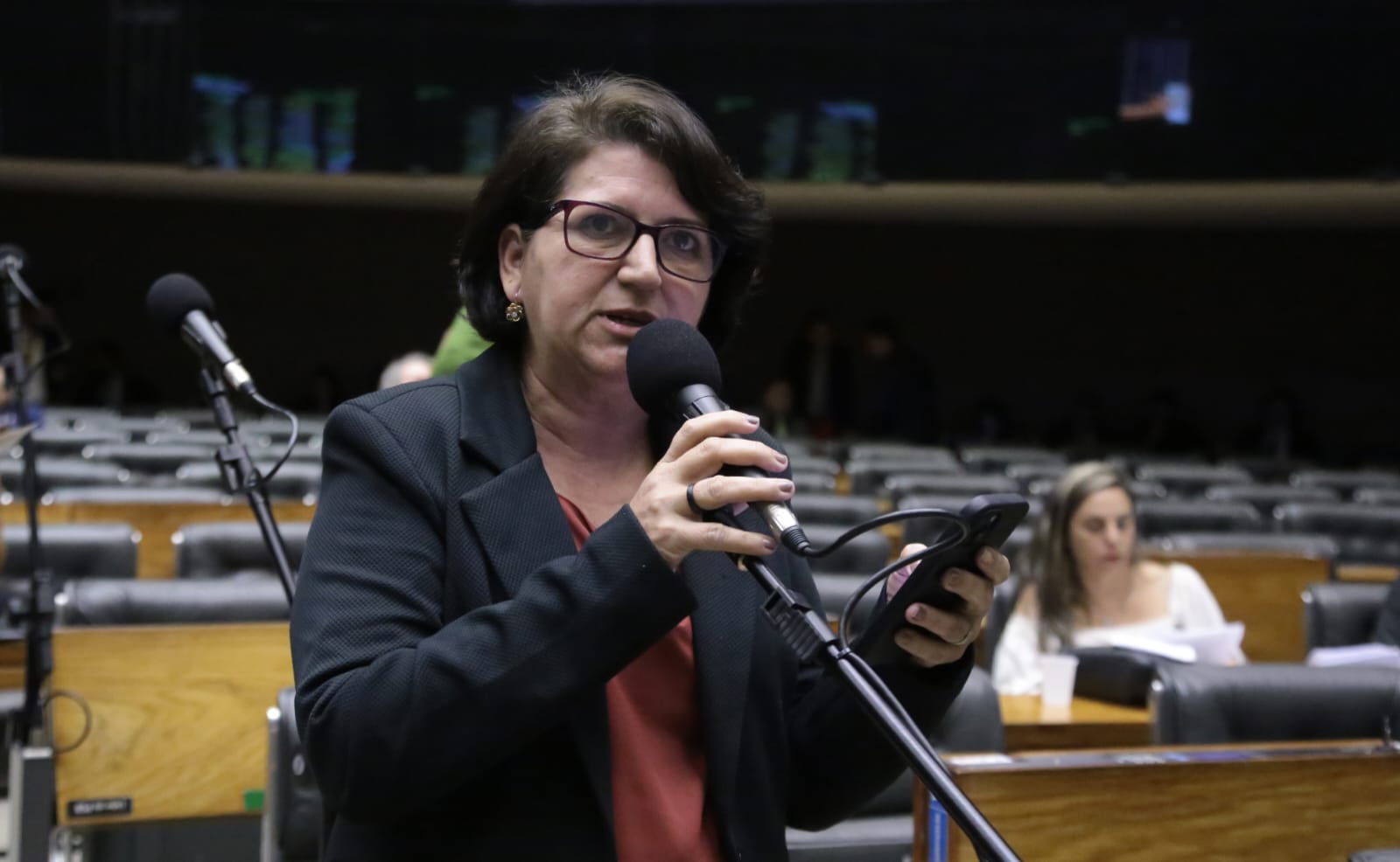 Lenir de Assis
