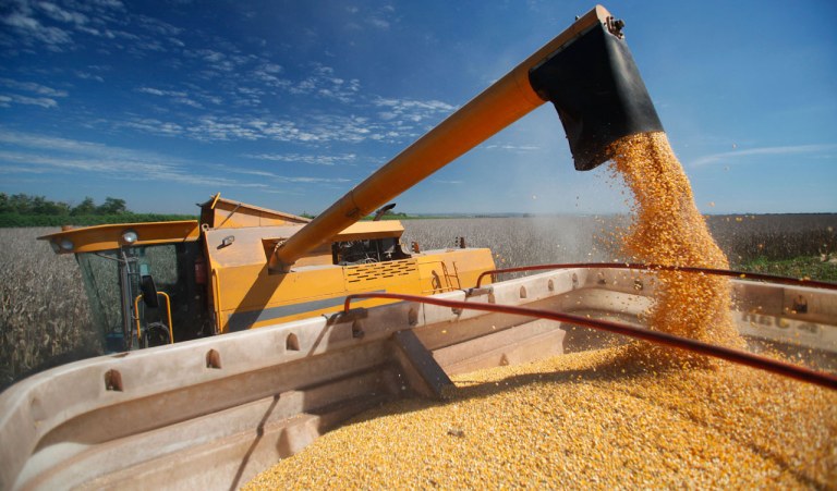 Gioverno renegociará dívidas de produtores rurais