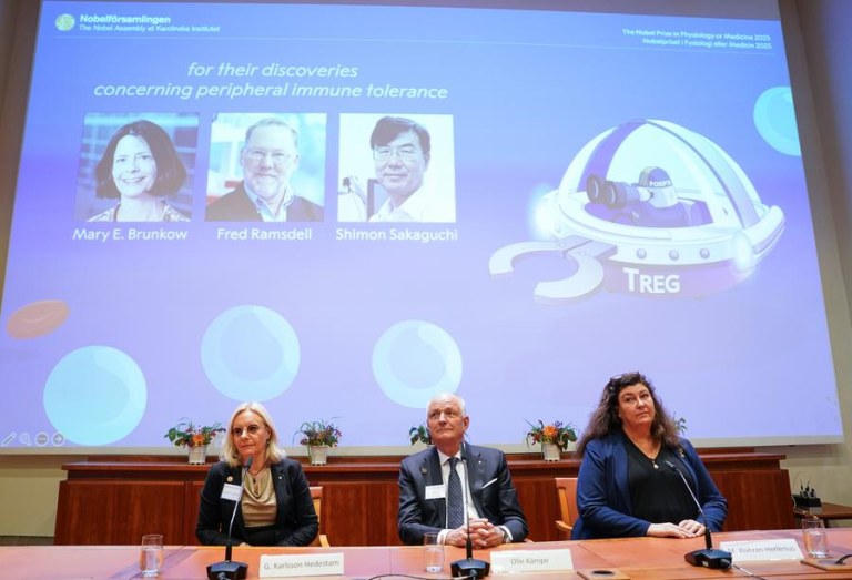 Por que o Nobel de Medicina 2025 premia os "seguranças" do sistema imunológico
