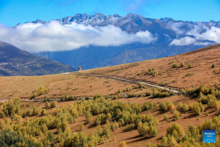 Paisagens ao redor da China começam a ganhar cores de outono