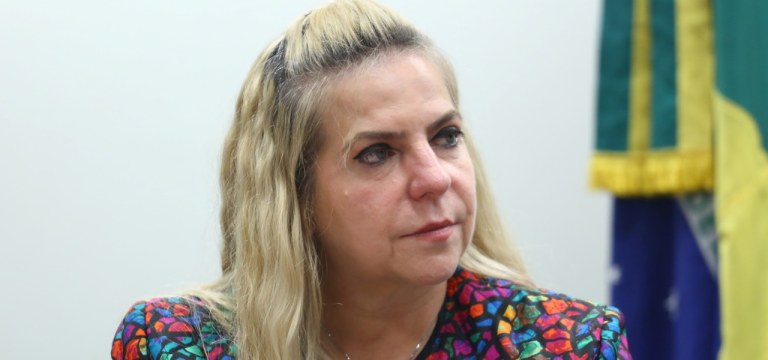 Dep. Luizianne Lins (PT - CE)
