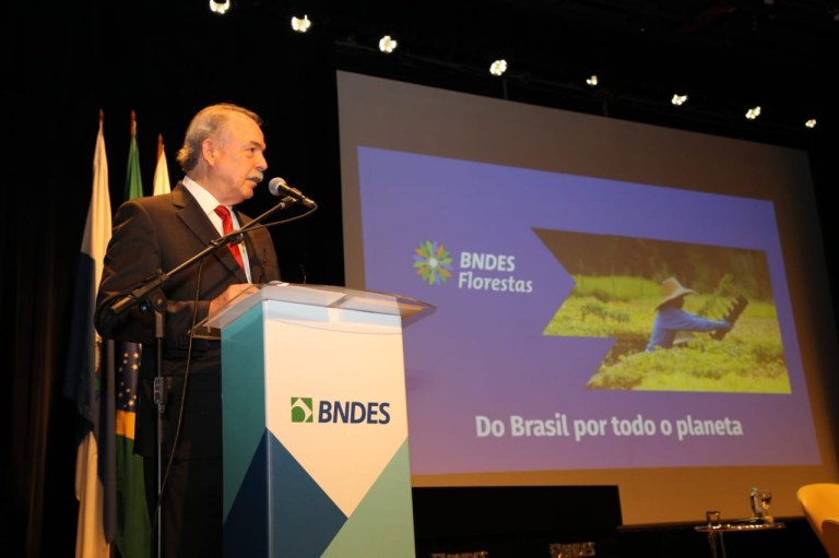 Presidente do BNDES, Aloizio Mercadante ressalta avanços no restauro florestal