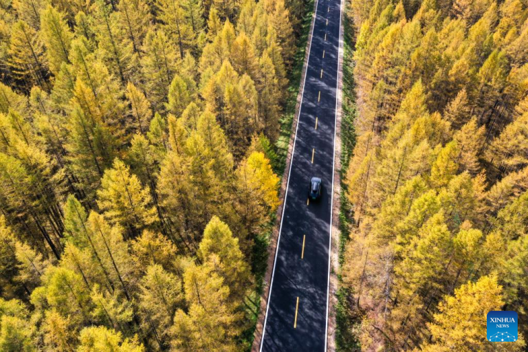 Rodovia nacional G331 transforma vida de moradores locais