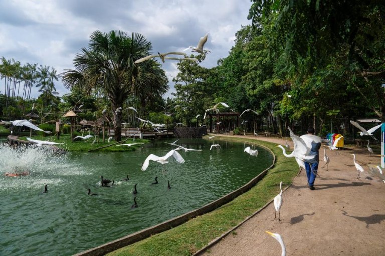 Cúpula COP30 é instada a impulsionar governança climática global para uma nova etapa