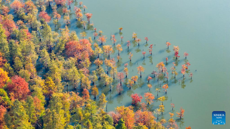 Chegada do inverno começa a mudar paisagens na China