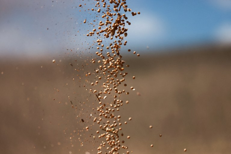 Grãos de soja são descarregados de uma colheitadeira em uma fazenda em Sarandi, no Rio Grande do Sul, em 2 de abril de 2024
