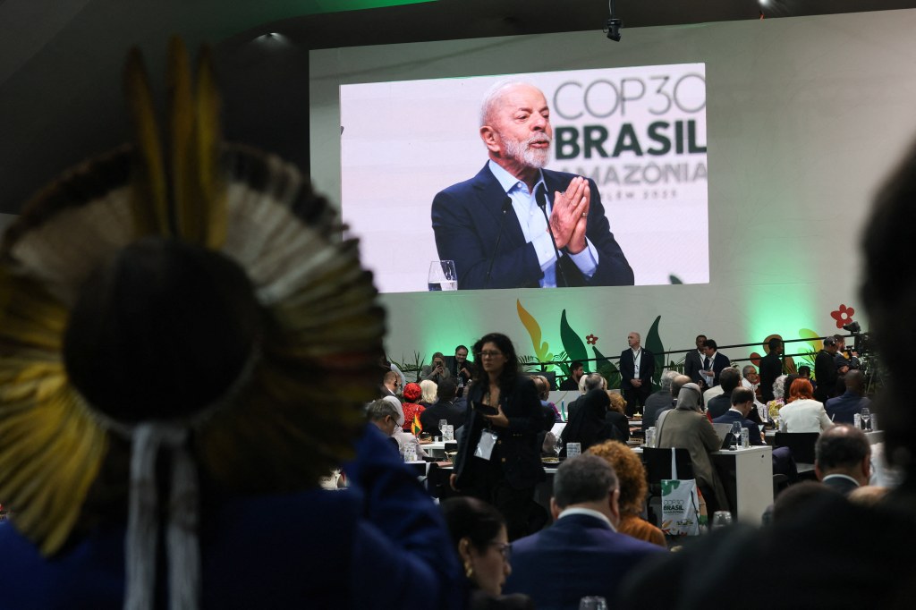 A COP30 e o caminho brasileiro entre conservação e desenvolvimento