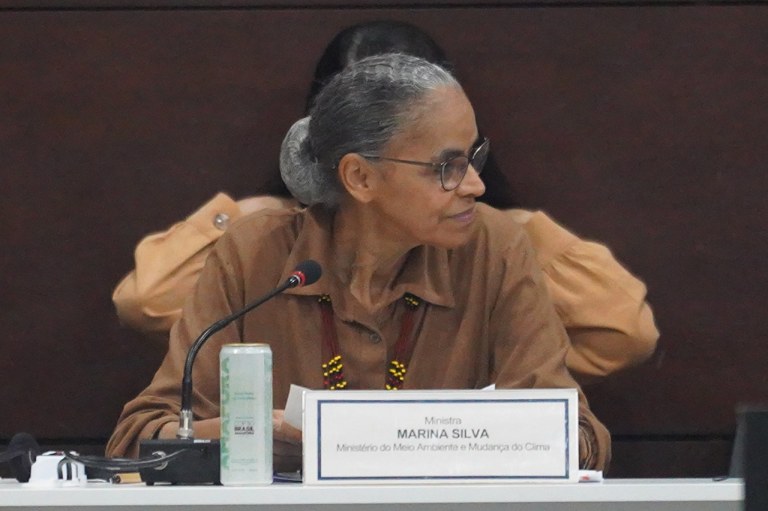Marina Silva