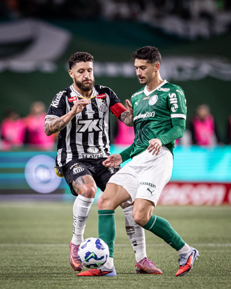 Palmeiras x Santos - Allianz Parque (05/11/2025)