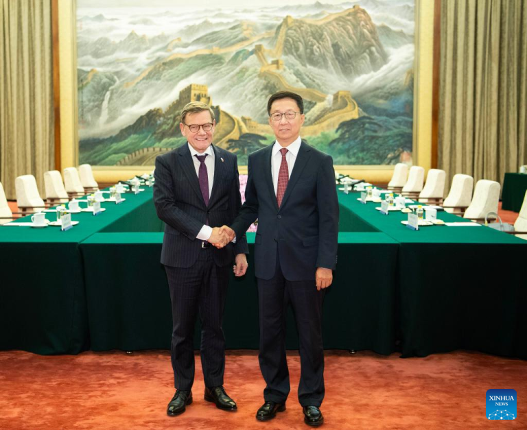Vice-presidente chinês reúne-se com ministro das Relações Exteriores alemão