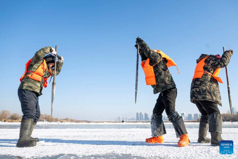 Trabalhadores coletam gelo em trechos congelados do Rio Songhua em Harbin