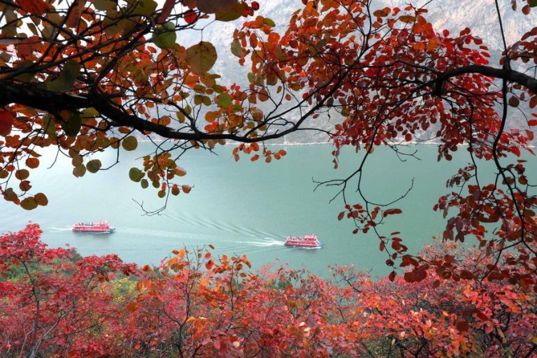 (Multimídia) China alcança importantes resultados com moratória de pesca de 10 anos no rio Yangtzé