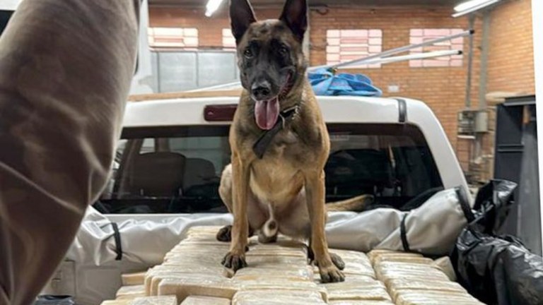 PF apreende mais de 600kg de cocaína em Blumenau