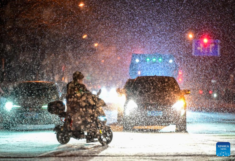 Beijing registra queda de neve
