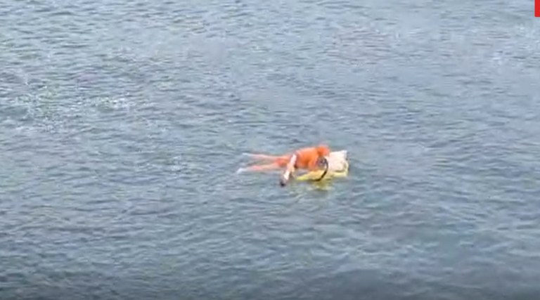Rodrigo Valmoci Bento, de 36 anos, sobreviveu a um naufrágio após passar horas no mar, agarrado a uma porta de geladeira