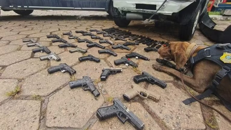Apreensão de armas de fogo