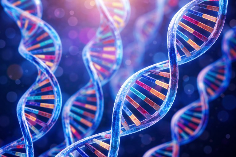 Representação de fitas de DNA