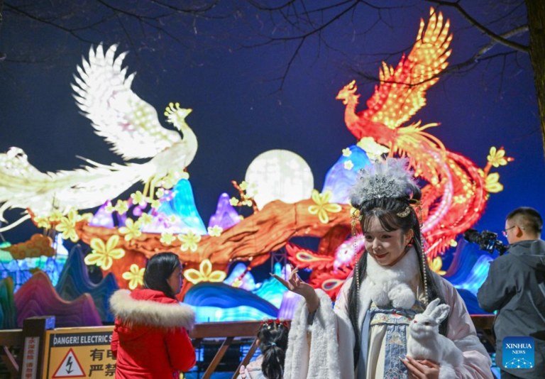 Festival do Ano Novo Chinês