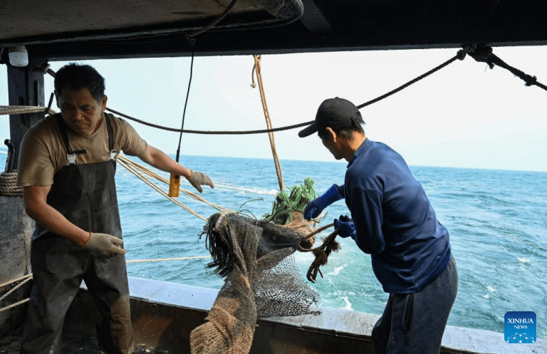 Veja imagens da vida quotidiana de pescadores em Maoming, na Província de Guangdong