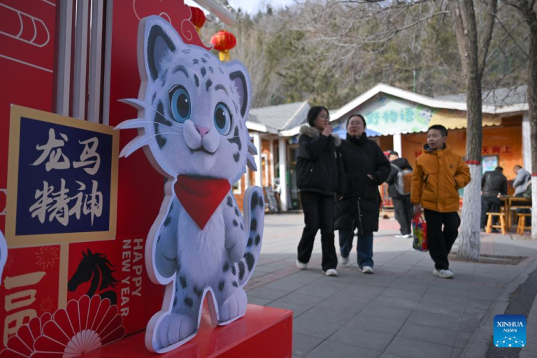 Animais de grande altitude facsinam visitantes no Parque de Vida Selvagem de Xining durante feriado da Festa da Primavera