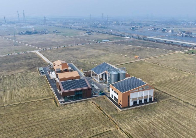 (Multimídia) China cultiva mais terras agrícolas de alto padrão em 2025 em meio aos esforços de modernização