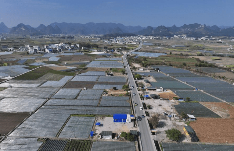 Base de plantio próxima da cidade de Chengtuan, Região Autônoma da Etnia Zhuang de Guangxi, no sul da China