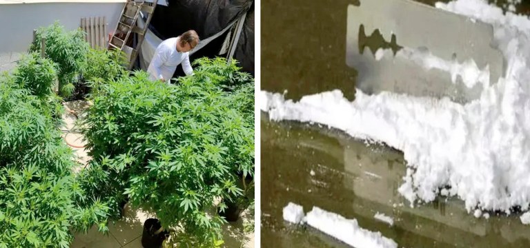 Maconha e cocaína