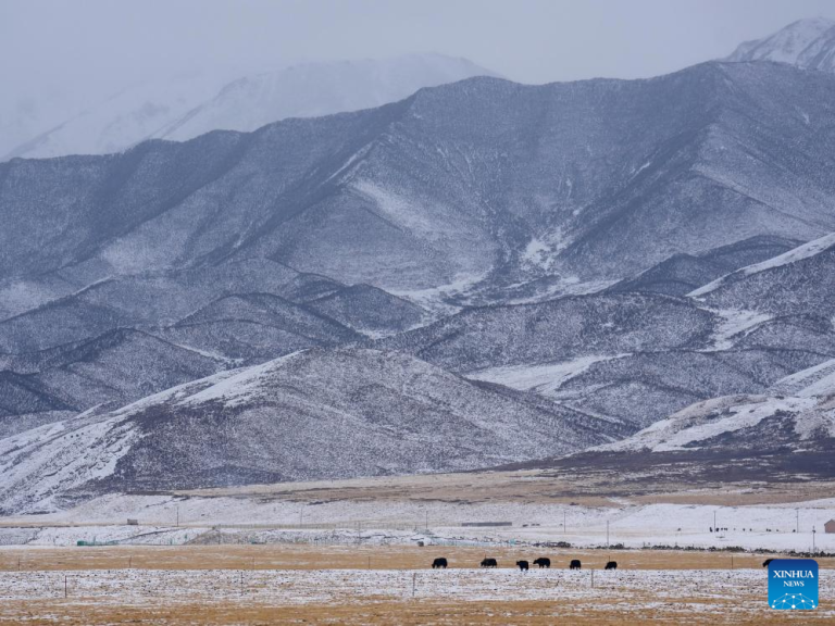 Neve transforma paisagem de Qinghai, no noroeste da China