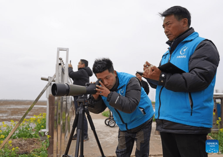 Política de compensação transforma moradores em guardiões de aves na província chinesa de Jiangxi