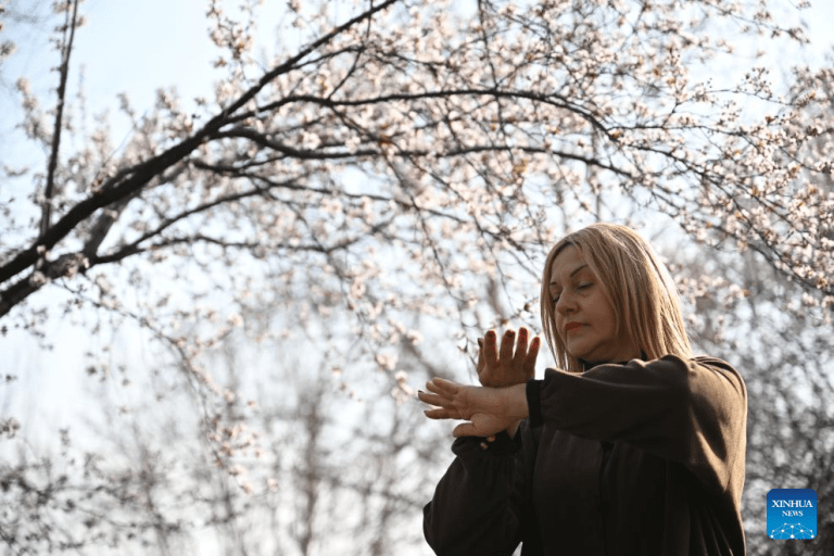 Estrangeiros praticam Taijiquan na Aldeia de Chenjiagou, na província chinesa de Henan