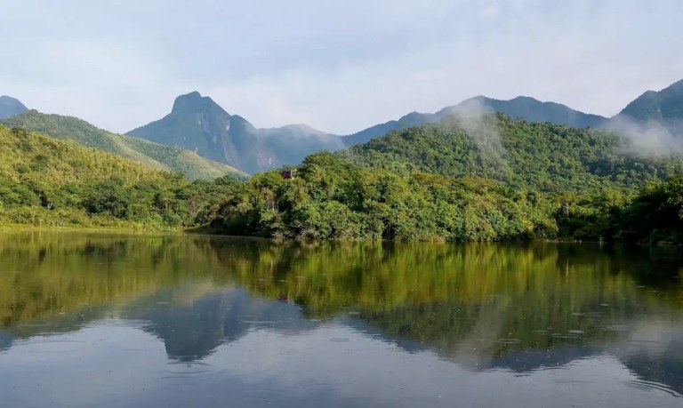 Mata Atlântica