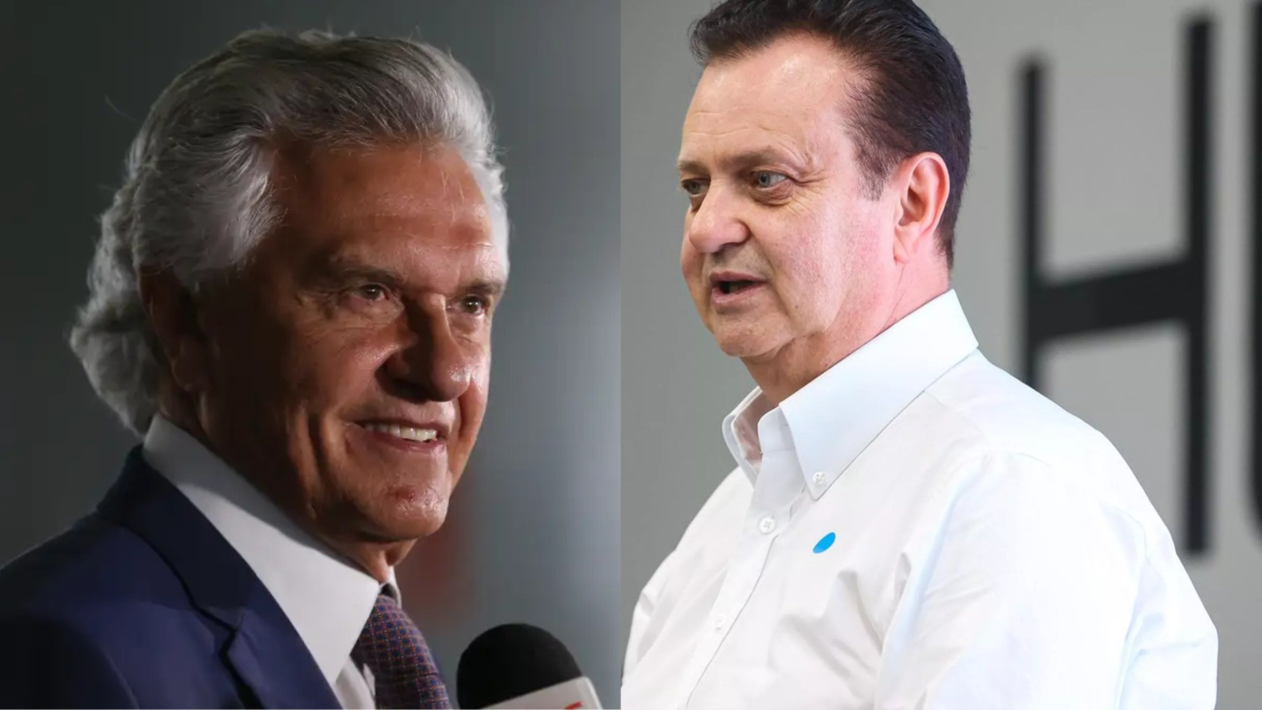 Ronaldo Caiado e Gilberto Kassab