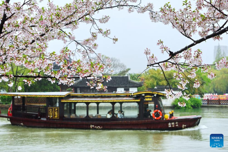 China celebra a chegada da primavera com muitas cores e flores