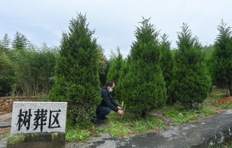 (Multimídia) Sepultamentos ecológicos ganham espaço na China