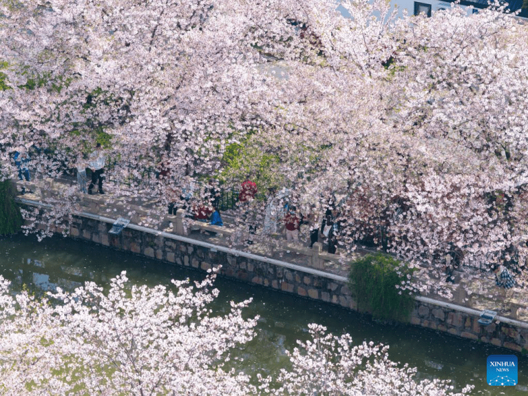 Feriado do Festival Qingming movimenta turismo e impulsiona economia da primavera