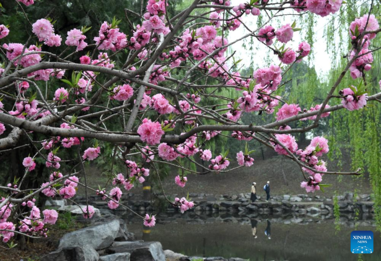 Festival de turismo da primavera começa no Parque Yuanmingyuan, em Beijing