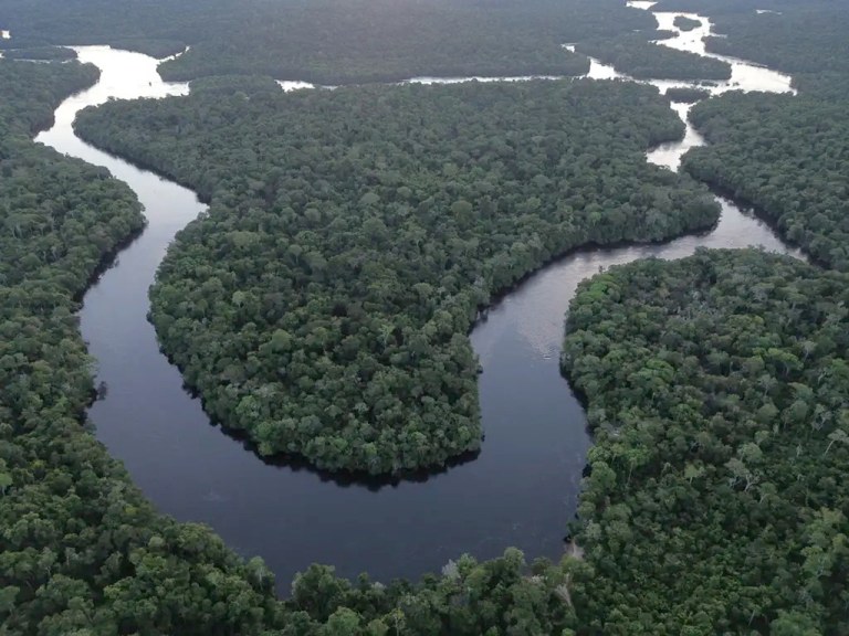 Pressão por exploração mineral coloca em risco floresta, rios e modo de vida na Terra Indígena Erikpatsa