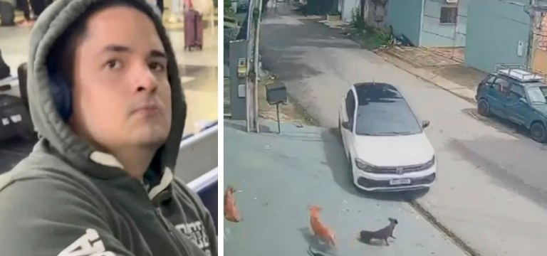 Homem que atropelou animais no Amazonas