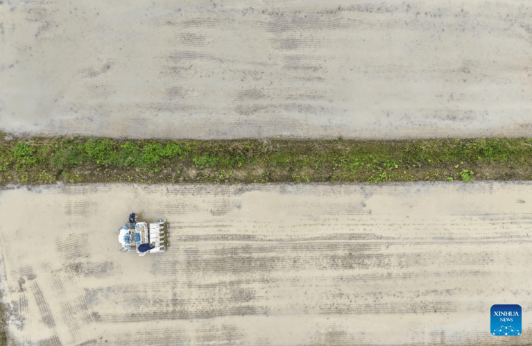 Agricultores realizama atividades sazonais de cultivo em Chongqing, no sudoeste da China
