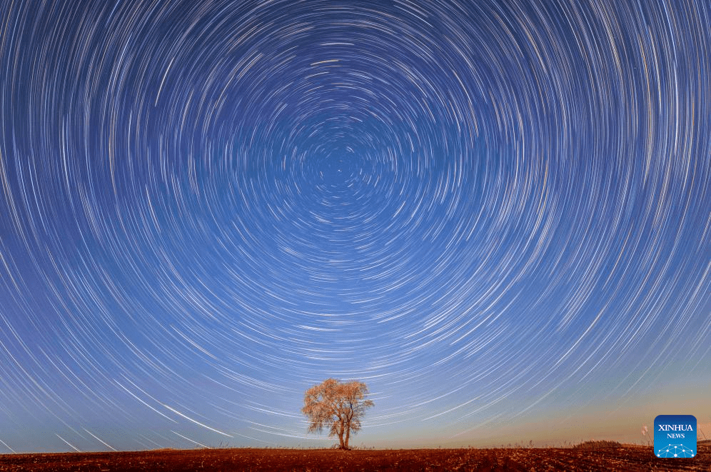 Flores desabrocham sob o céu estrelado de Heilongjiang, no nordeste da China
