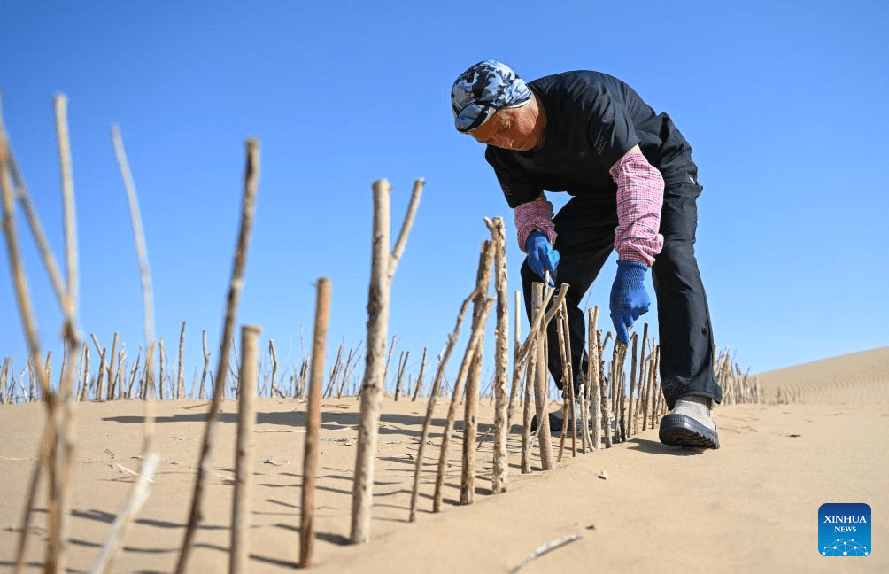 Região de Hangjin, no norte da China, avança de forma constante nos esforços de controle de desertificação