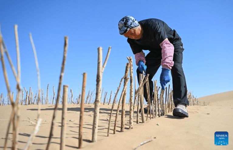 Região de Hangjin, no norte da China, avança de forma constante nos esforços de controle de desertificação