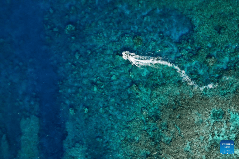 Fotos mostram o ecossistema submarino ao redor de Huangyan Dao da China