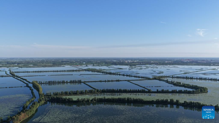 Fotos aéreas registram a beleza do início do verão em Xiong'an