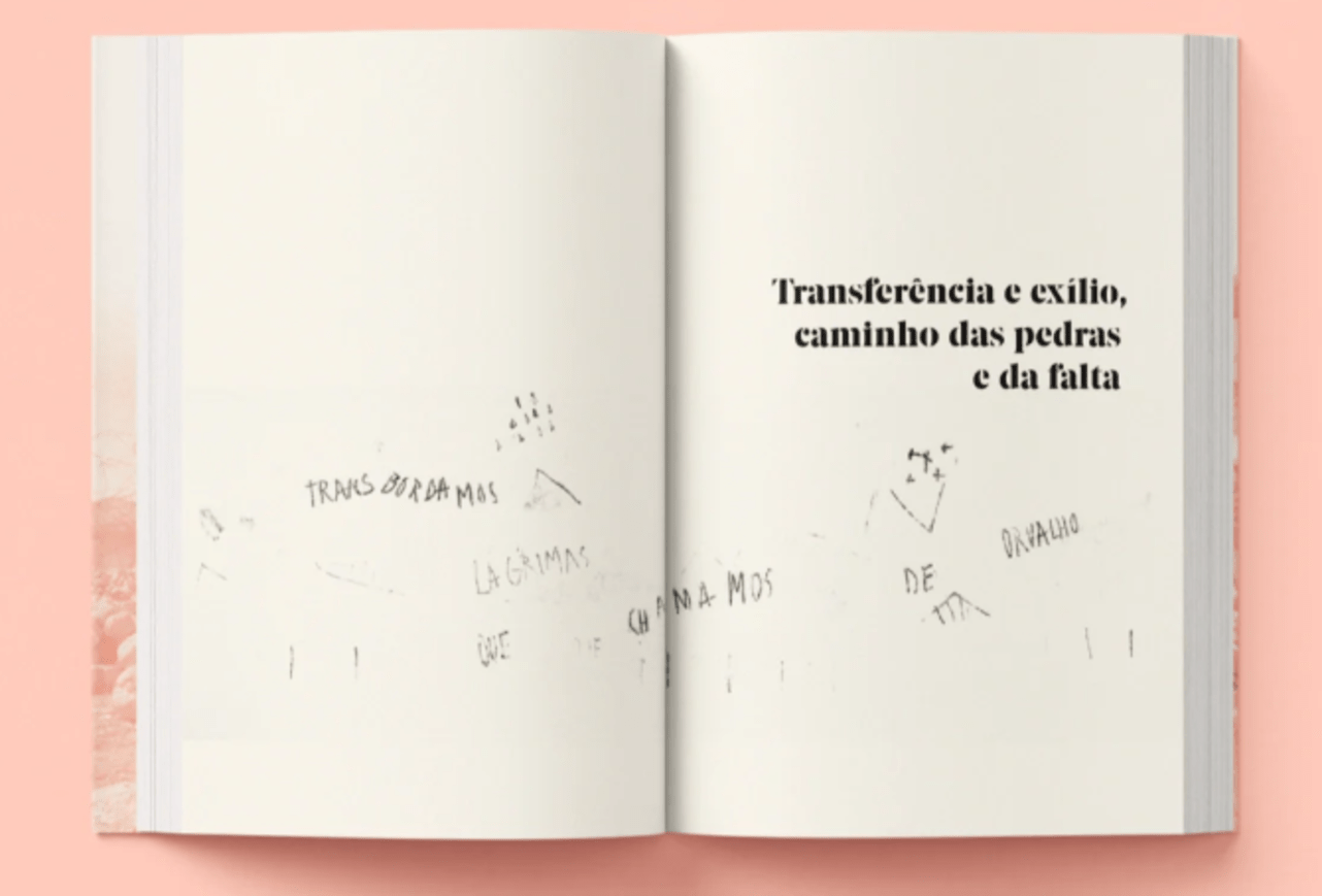 Um Diário em Aberto - frontispício do livro