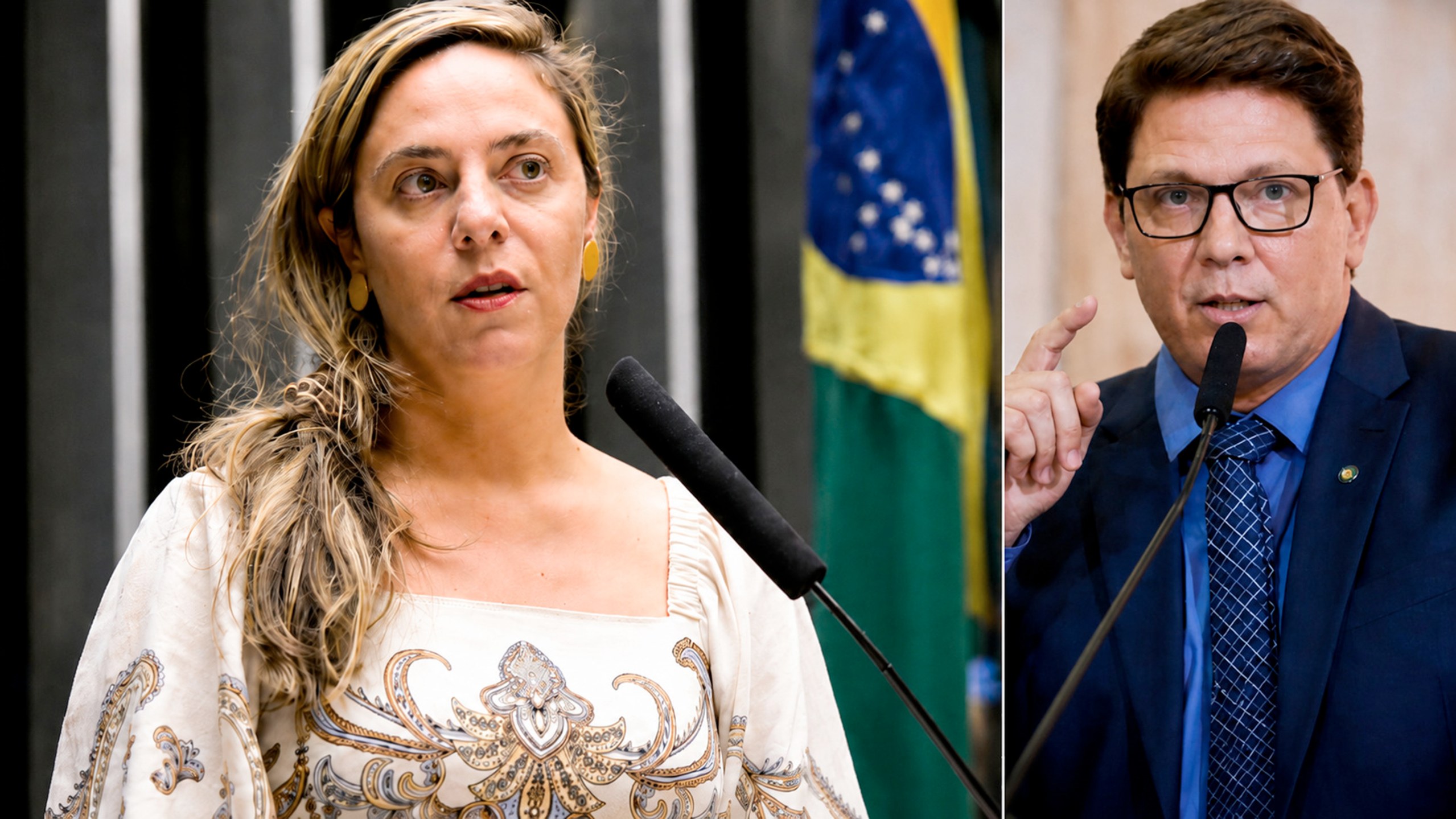 Fernanda Melchionna e Mario Frias