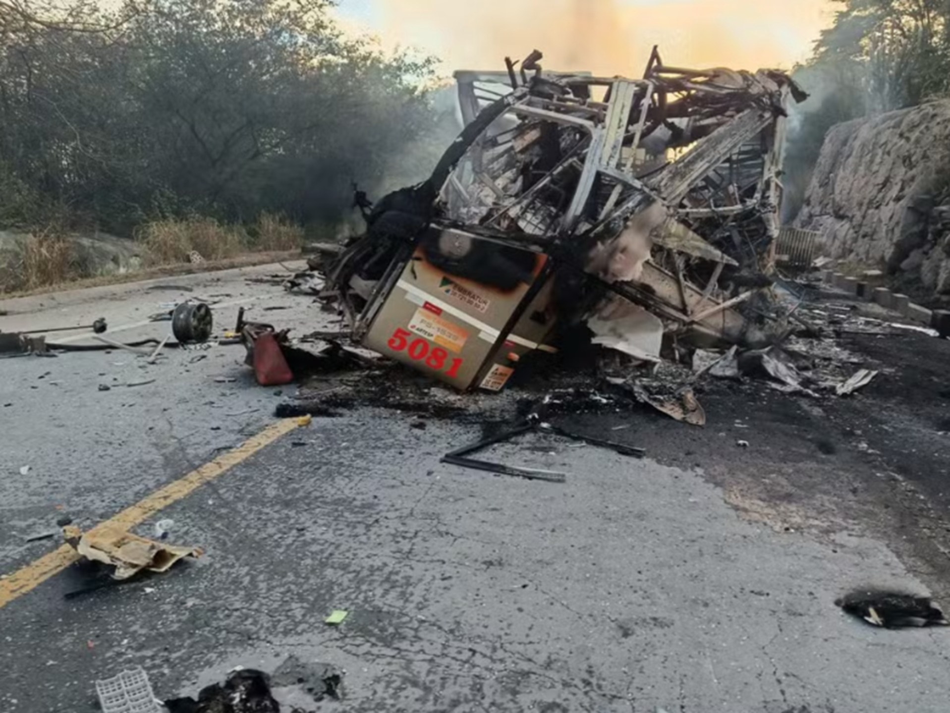 Veículos foram destruídos pelas chamas na BR-251